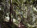 17b - Parc des Mamelles - Marche 023